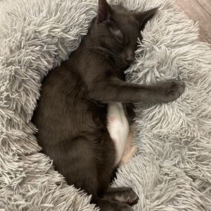 Meet your Posher, Kim